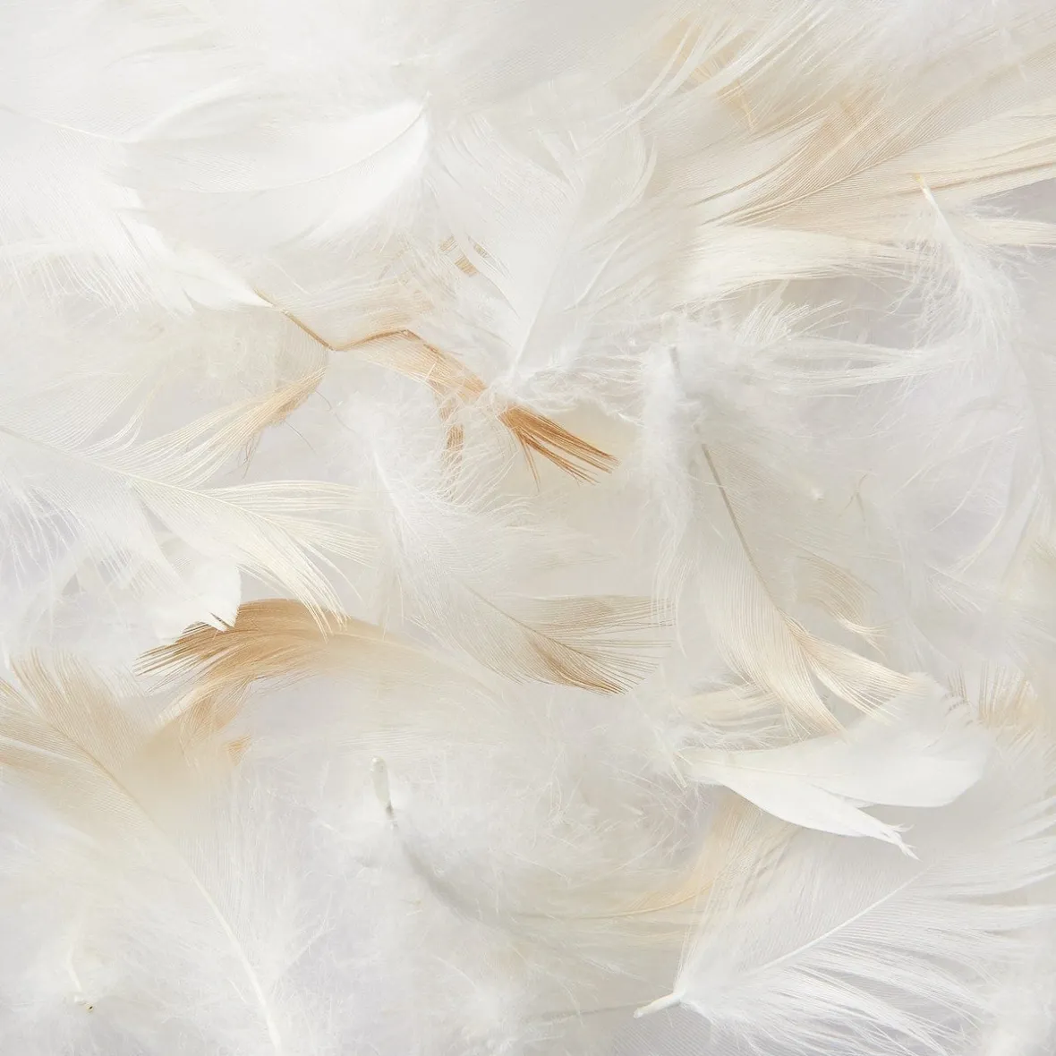 Hot Muji Almohada de plumas 43 x 63 cm