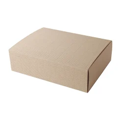 Online Muji Caja regalo 310x230x90 mm