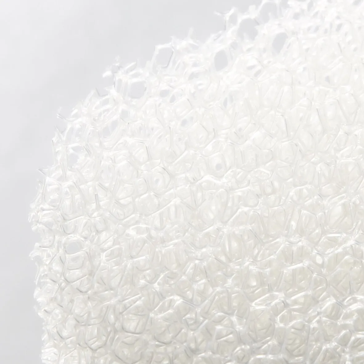 Muji Esponja